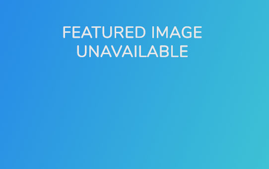 Convention 2019 New Product Reveal